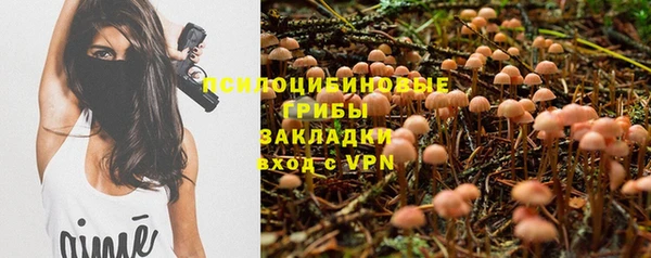 таблы Армянск