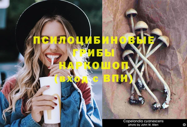 таблы Армянск
