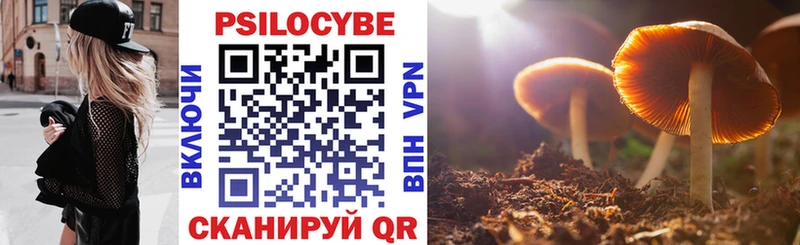 где купить наркотик Светлогорск блэк спрут ONION Галлюциногенные грибы мицелий